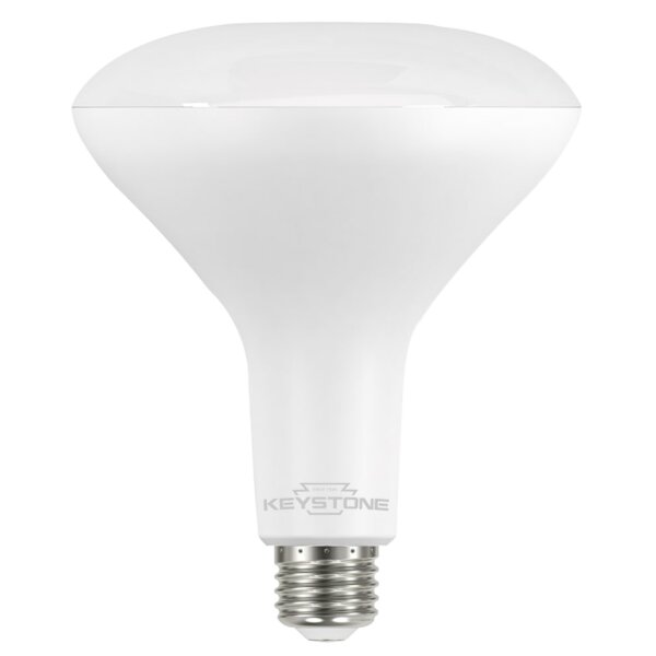 ergens bij betrokken zijn Napier schermutseling LED BR40 Light Bulb - 940 Lumens, 11.5 Watt, 3000 Kelvin, E26 Base - 75W  Equivalent