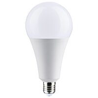 LED A25 Bulb | 30W - 3,750 Lumens | E26 Base | 3000K | Satco