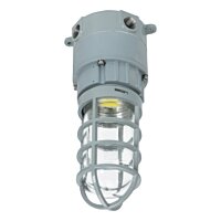 20W LED Explosion Proof Jelly Jar Light | Class I Division II | 2,200 Lumens, 5000K, Dimmable, 100-277V, Ceiling Mount | EPC O Series