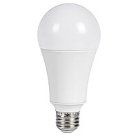 LED A21 Bulb | 25W - 2,550 Lumens | E26 Base | 3000K | Topaz