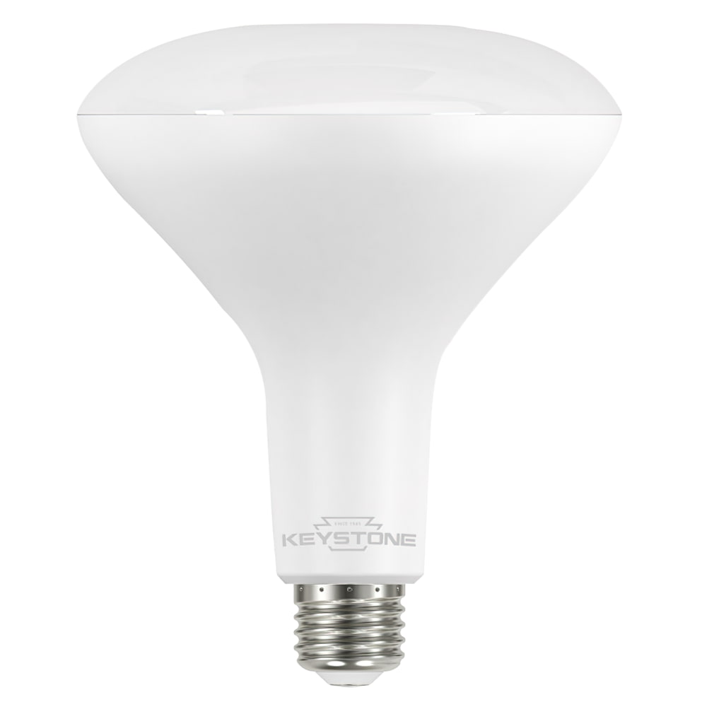 BR40 style LED bulb shown from the side with an E26 base