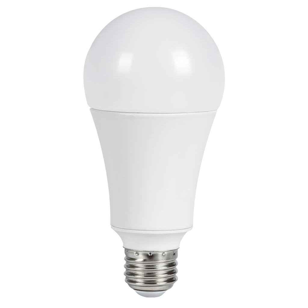 A21 Style Light Bulb