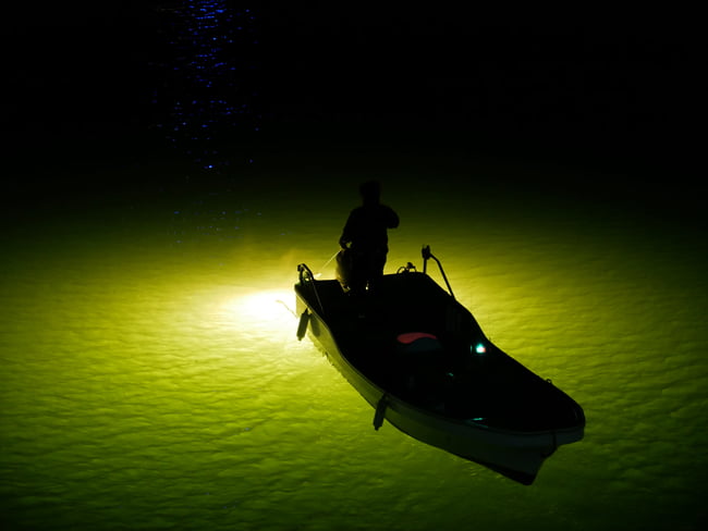 A bowfisherman on private fishing boat uses flood lights pointed down into the water, providing illumination into the water for spotting fish