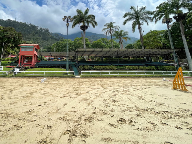 Horse arena with a sand based ground and stadium lights in view